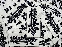 KYOKUSHINKAI PATCHES